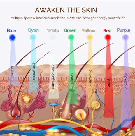 7-Color LED Light Therapy Face Mask